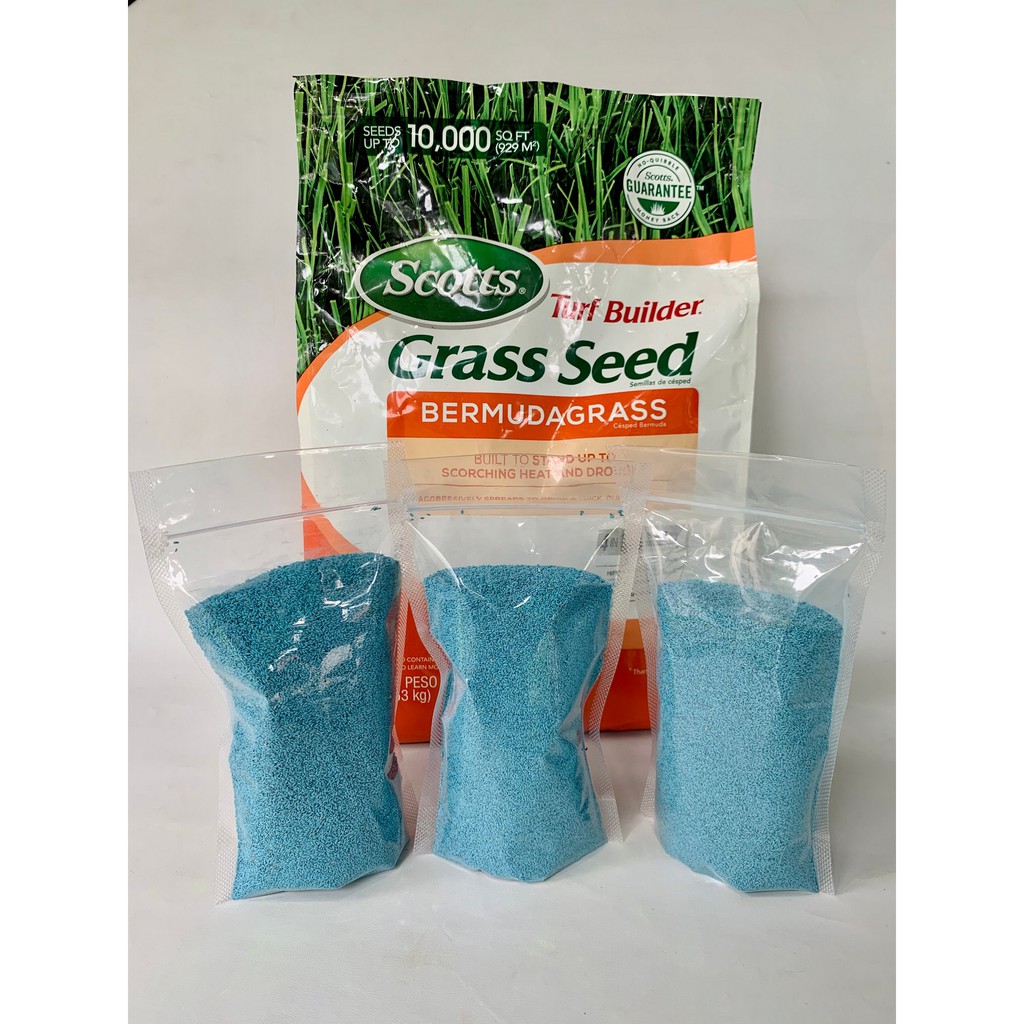 BIJI RUMPUT SCOTTS TURF BUILDER BERMUDA GRASS PER 150GRAM