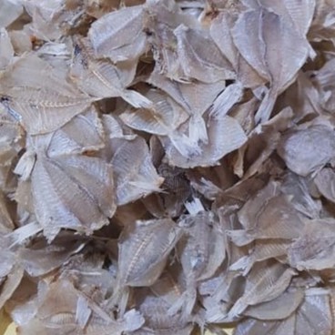 

Ikan Asin Pakang 500 gr fresh