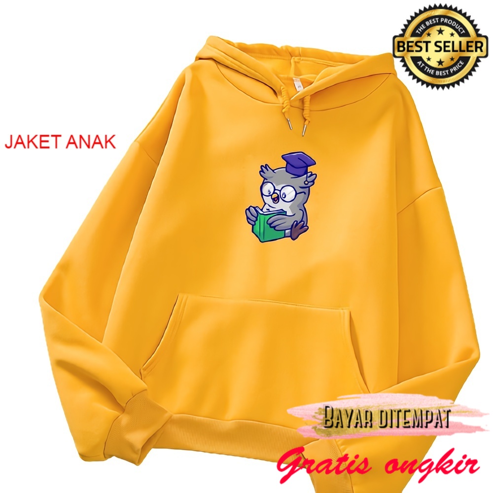 sd tk lucu korea pria wanita Sweater anak perempuan OWL baju sweter anak cewek cowok murah jaket swe