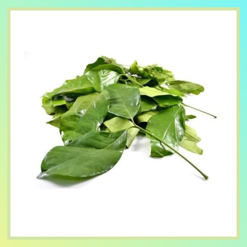 

Daun Melinjo Segar 250 gram