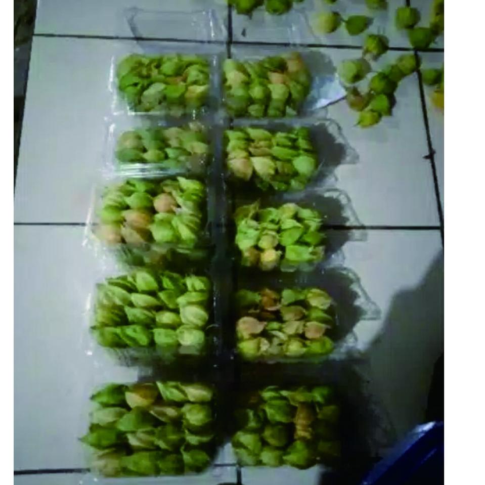 

muzo PROMO CIPLUKAN/CECENDET/GOLDEN BERRY 250 GRAM 《 44