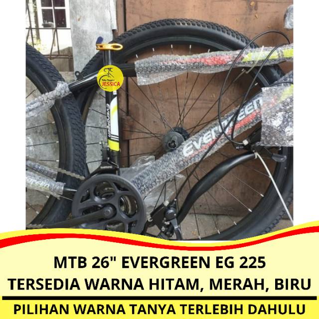 evergreen eg 225 sepeda mtb