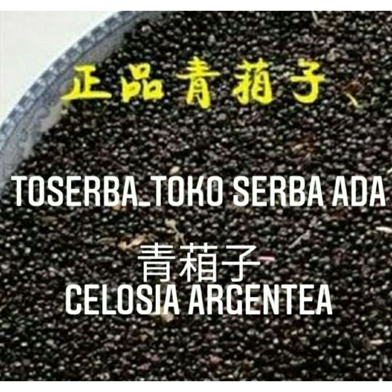 

100gr Herbal Qing Xiang Zi 清葙子 Semen Celosiae Feather Cockscomb Seed Celosia Argentea Premium Grade
