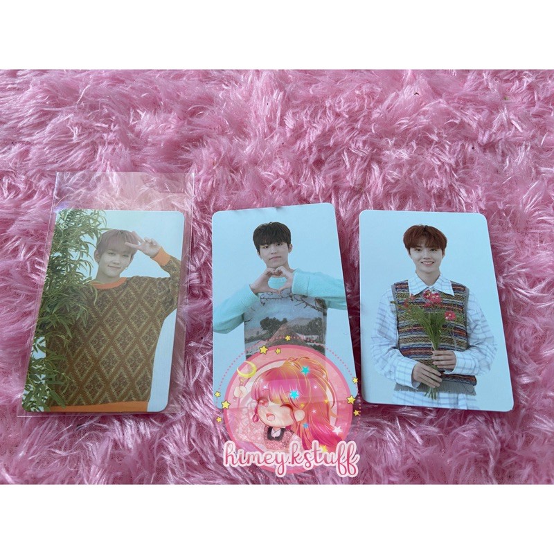 [READY] OFFICIAL AR PHOTOCARD ALBUM TREASURE EFFECT DOYOUNG MASHIHO JEONGWOO