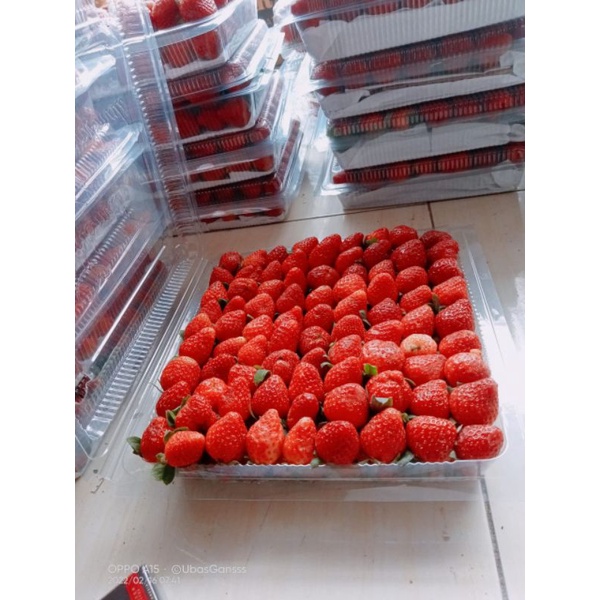 

STRAWBERRY LOKAL