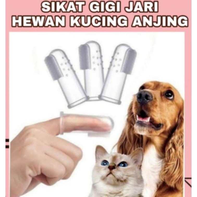 SIKAT GIGI JARI HEWAN KUCING ANJING PAKAI KOTAK