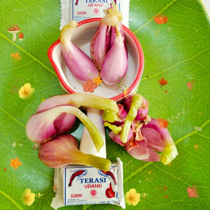 

NEW Bawang Sumenep 1 KG - Bahan bawang goreng GRATIS TERASI khas cirebon