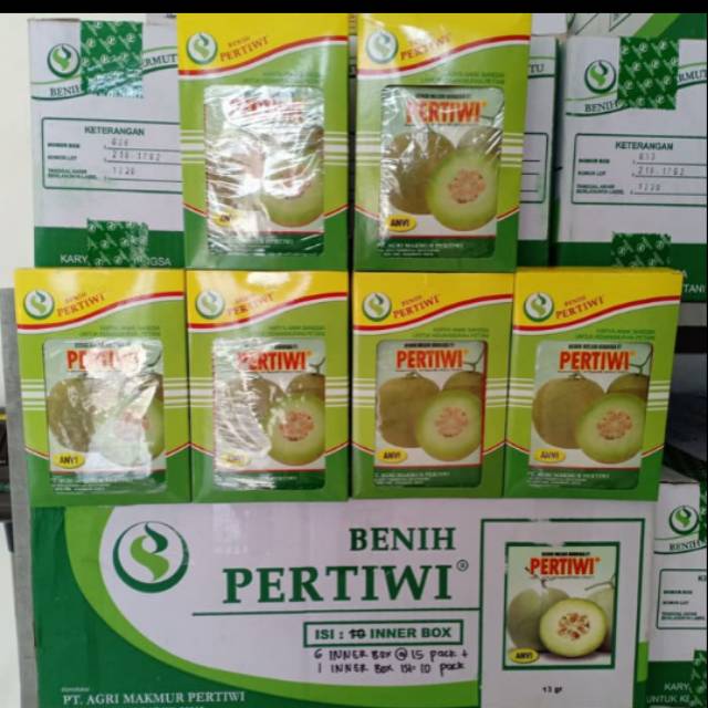 Benih Melon Pertiwi Anvi 13gr