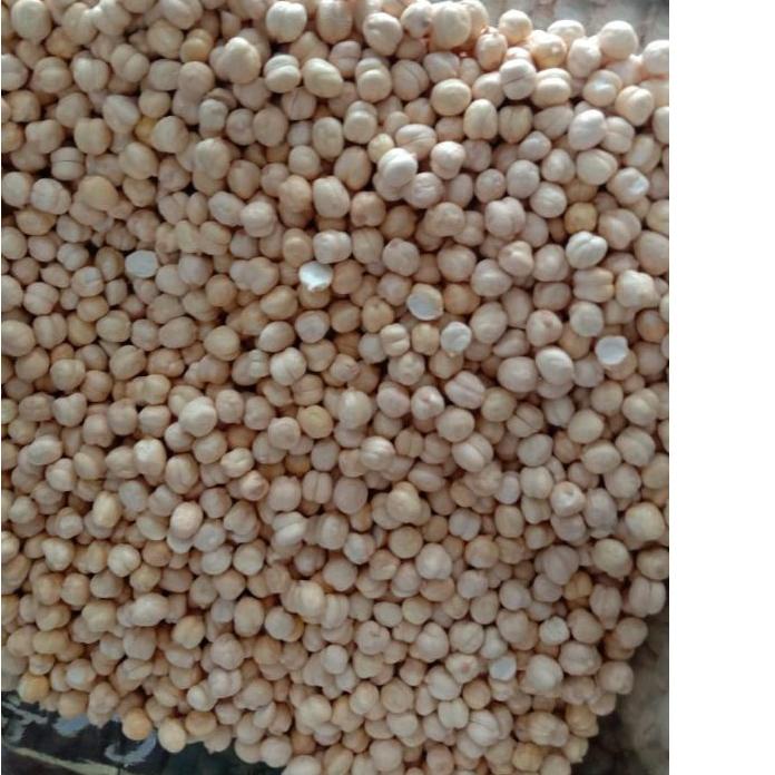 

Flash Sale Kacang arab super 1kg