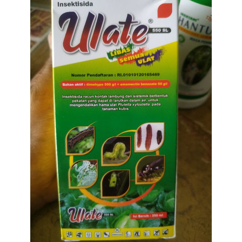 insektisida Ulate 250ml