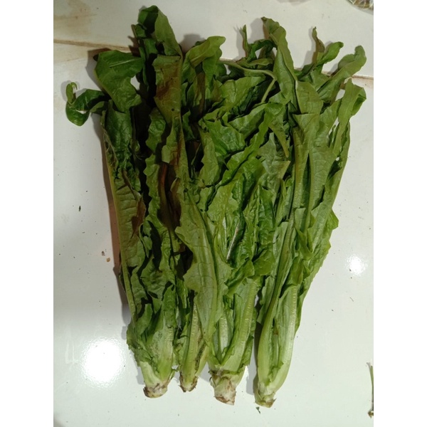 

siomak /500grm Rp 10.000