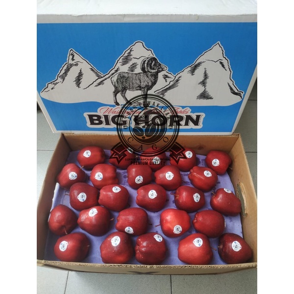 Apel Merah BigHorn USA 1 Dus (20 KG) Fresh Import