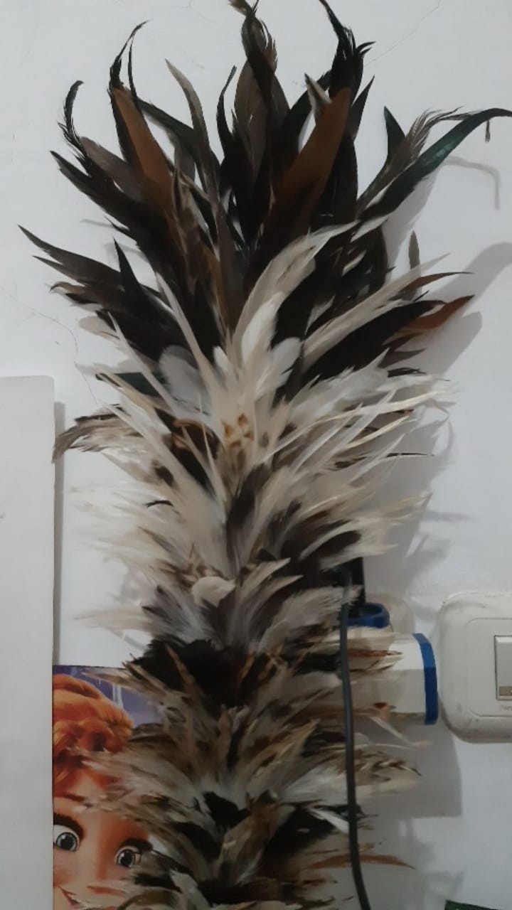 Kemoceng Bulu Ayam Lancur Warna 50 Cm - Kemoceng Microfiber Mobil Murah Anti Rontok - Sulak Bulu Ulu