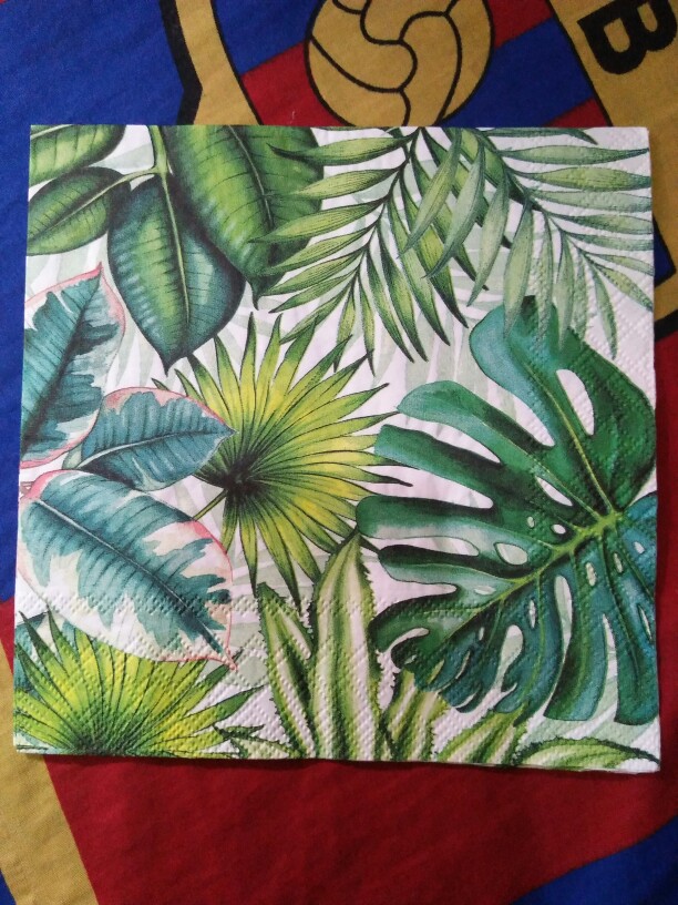 Napkin Decoupage - Tisu Eropa - Sc 325