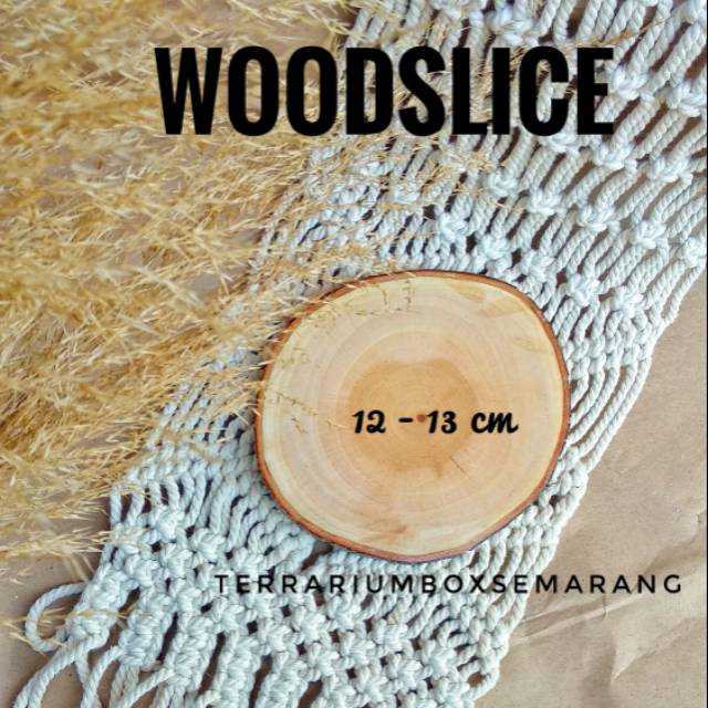 Wood Slice / alas kayu Mahoni