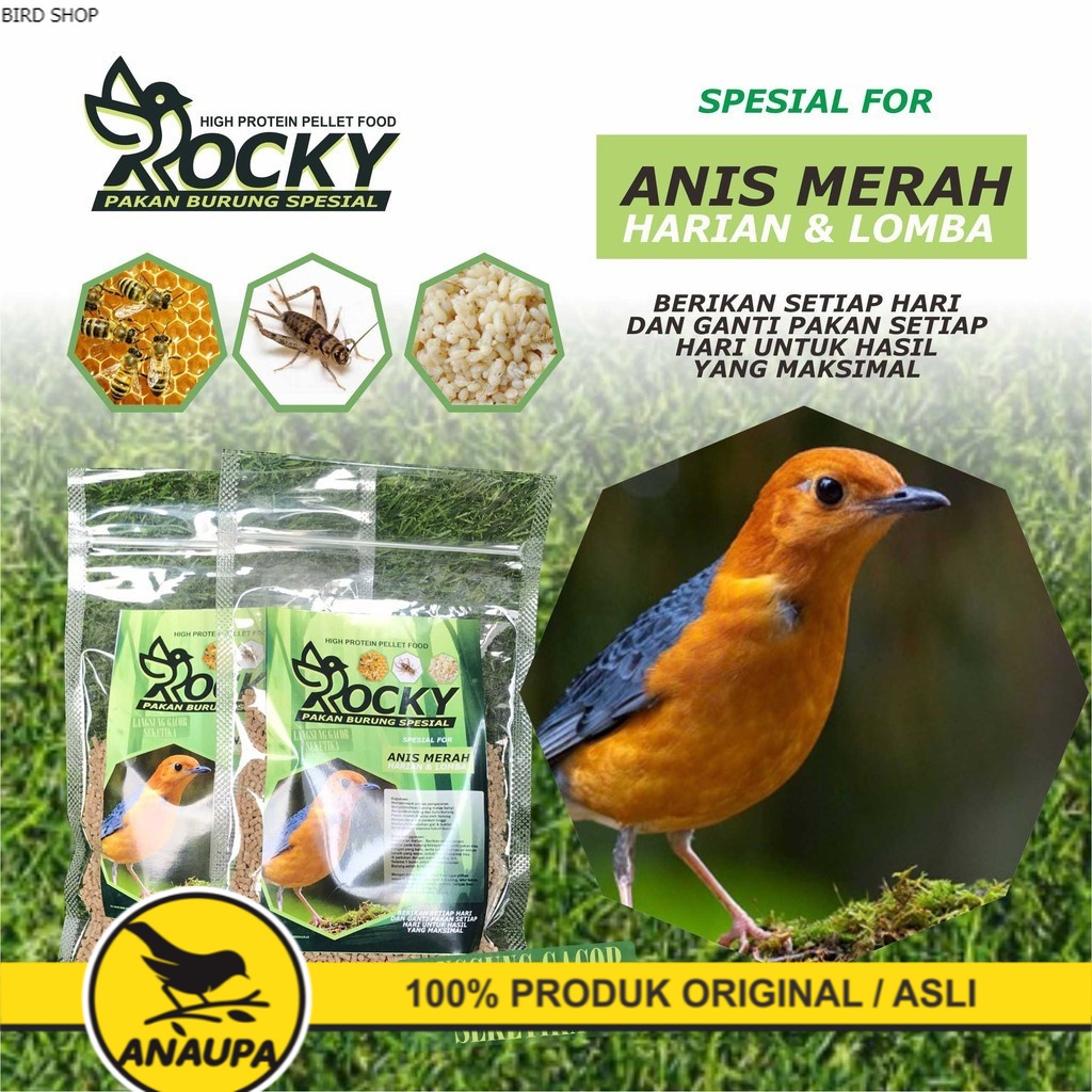 VOER PAKAN BURUNG ANIS MERAH