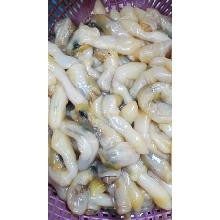 

kerang lorjuk kupas