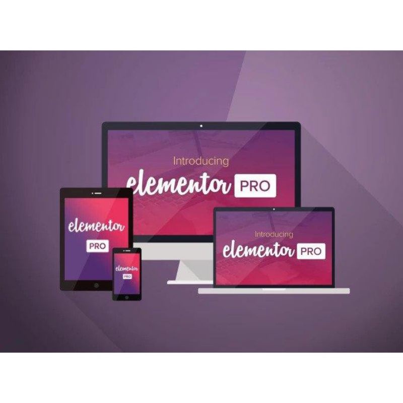 Jual Elementor Pro Wordpress Plugin V.3.0.5 + Elementor Training + Ebook FB & Google Ads Promo !!