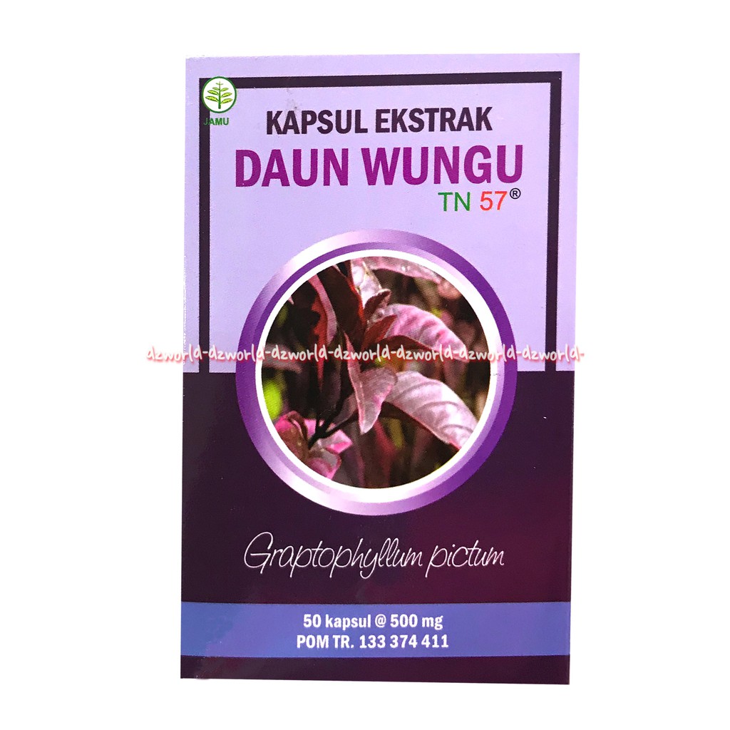 Kapsul Ekstrak Daun Wungu 50kapsul Obat Untuk Meringankan Ambien &amp; Wasir Ambeyen TN 57 Jamu