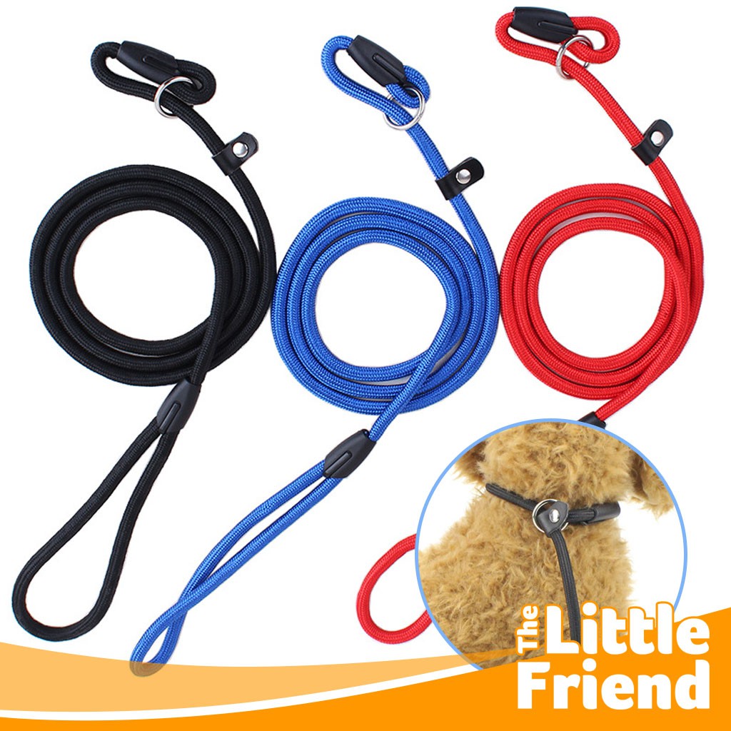 Tali Kalung Tuntun Cesar Milan Leash Nylon Hewan Peliharaan Pet Dog/Anjing Show Style