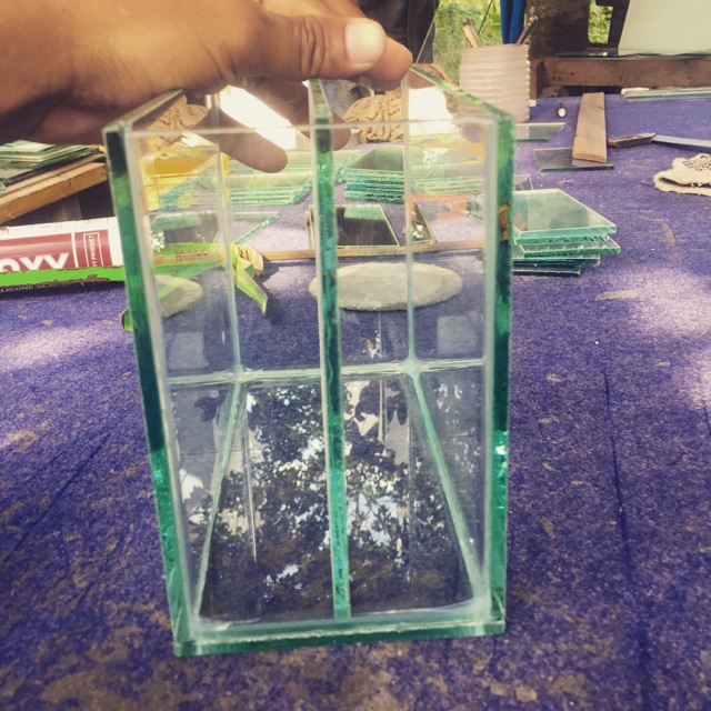 Soliter cupang sekat 2 soliter Selfi sekat 2 soliter cupang soliter ikan cupang aquarium cupang