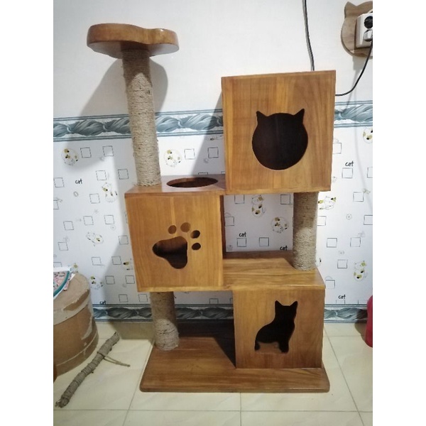 CAT CONDO