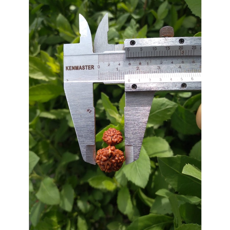 Jenitri Gauri Genitri