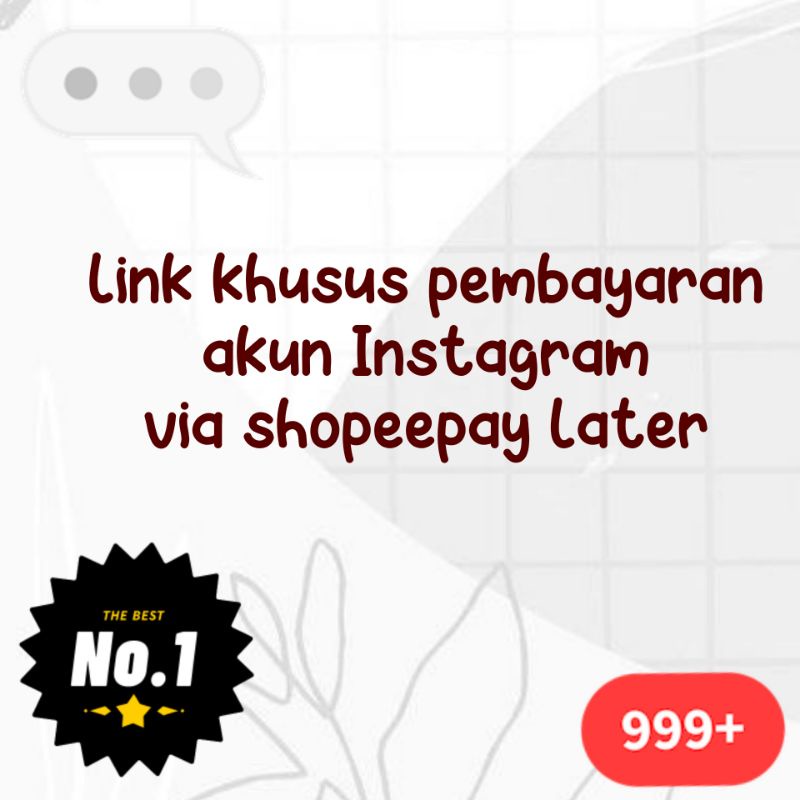 PEMBAYARAN AKUN INSTAGRAM VIA PAYLATER