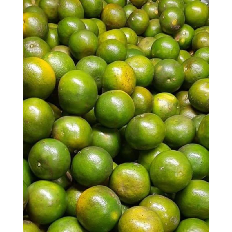 

Jeruk Siam Pontianak 1 Keranjang 7Kg