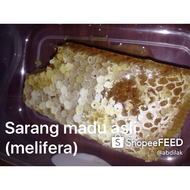 

Sarang madu asli (melifera)