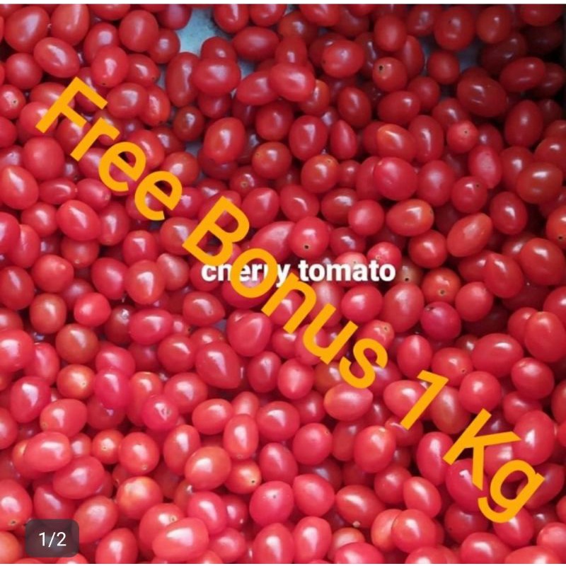 

Tomat Cherry uk ½ kg + Gratis Bonus