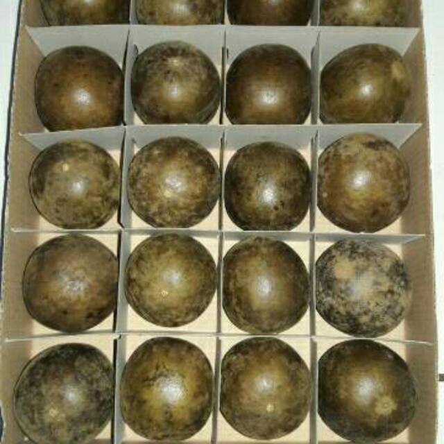 

BUAH LOU HAN KO, LOHANKUO, LOUHANKO SEDANG