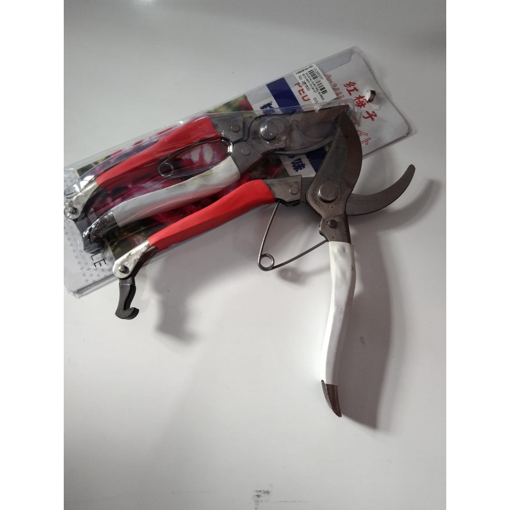 

GUNTING BUNGA BESI 8 INCH