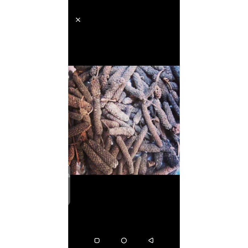 Cabe Jawa Kering 1kg