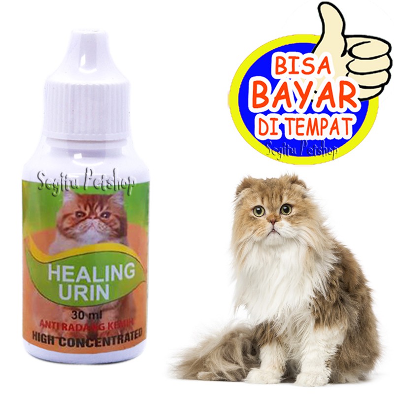 Obat Kucing Susah Kencing Sakit Sembelit Saluran Kemih Urinary Healing Urin Shopee Indonesia