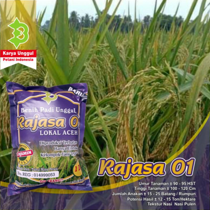 Benih Padi Rajasa 01-2