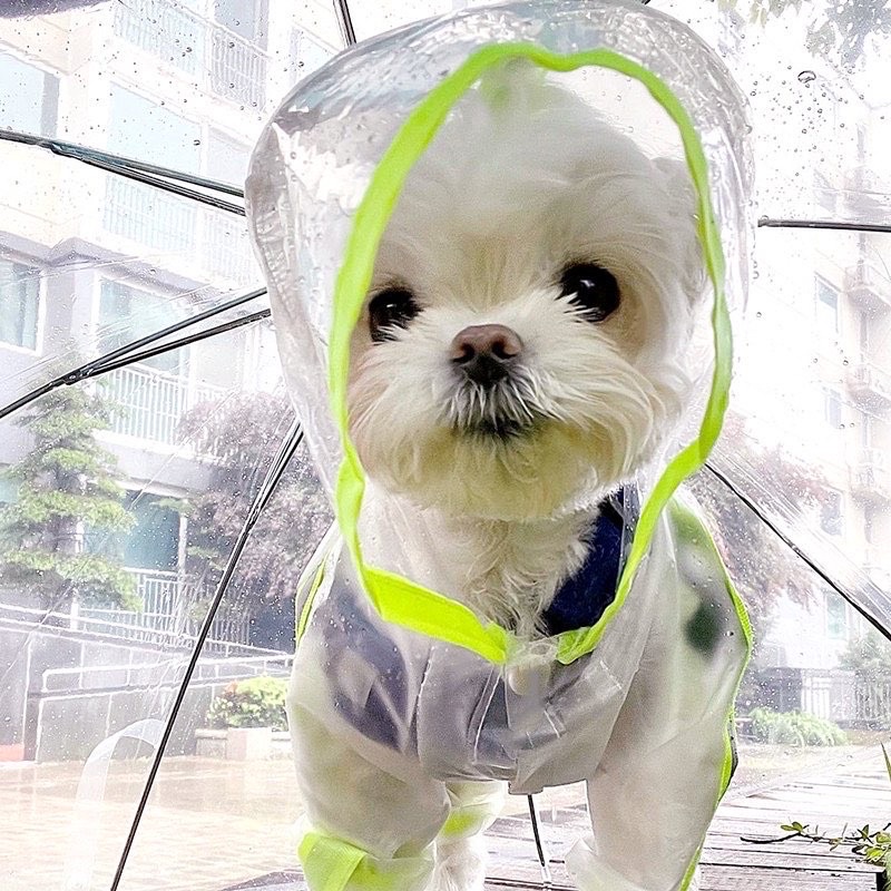 Korea pet rain coat