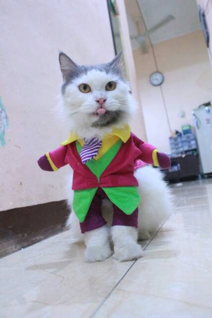 Kostum Joker hijau lucu untuk kucing dan anjing / baju kucing murah size S M L XL