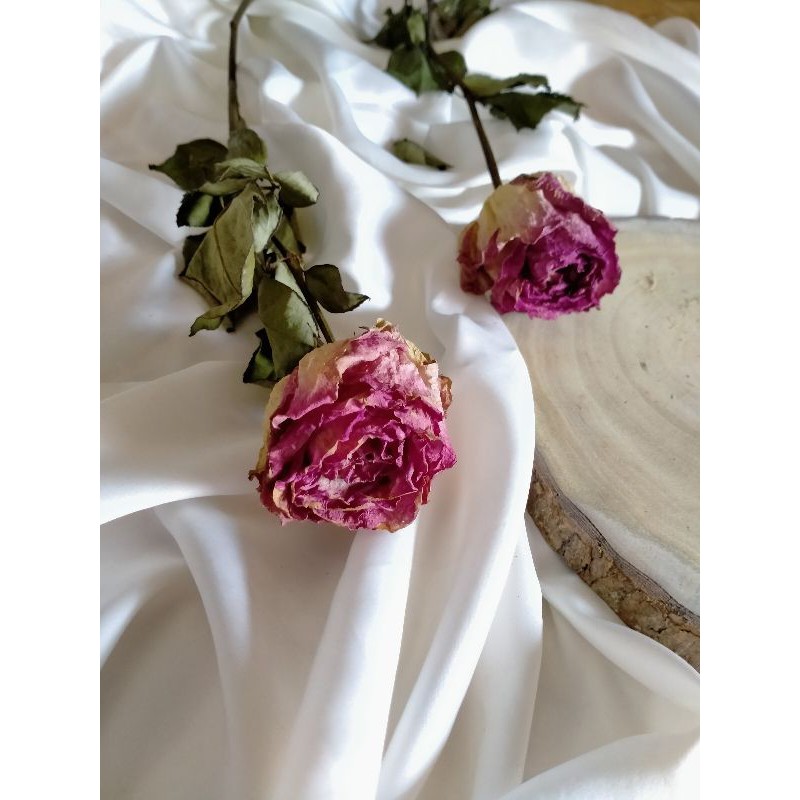 bunga mawar Kering / dried flower rose / bunga kering
