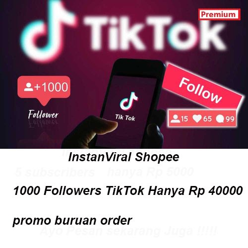 beli 1000 TikTok Followers murah banget