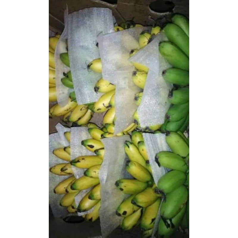 

Pisang Mas 1 sisir