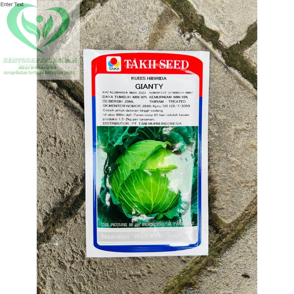 Benih sayur kubis hibrida GIANTY isi 20ml dari TAKII SEED
