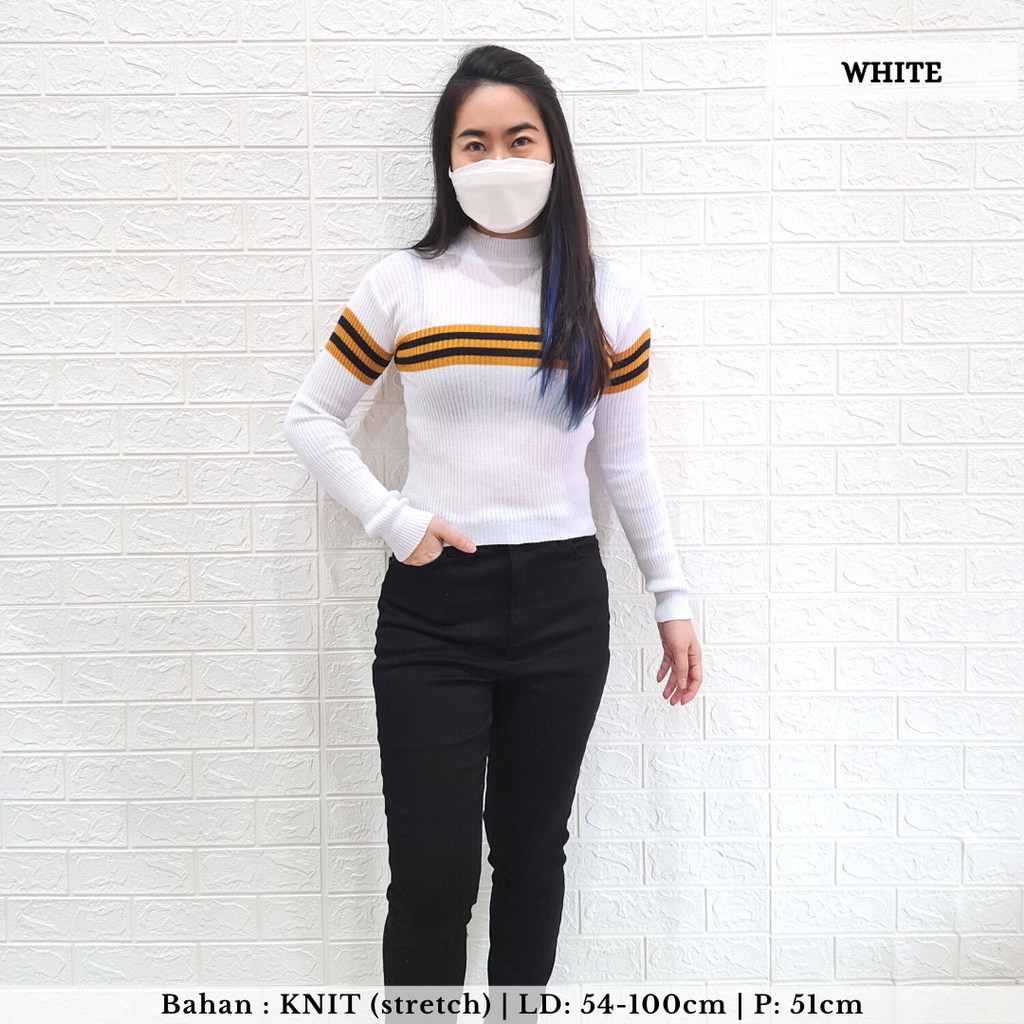 2634 stripe turtleneck knit