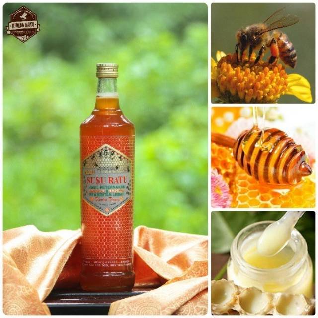 

Madu Royal Jelly / Madu Susu Ratu