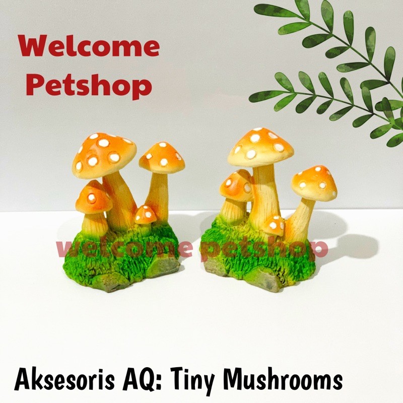 Three Mushrooms / Aksesoris Aquarium / Hiasan Aquarium / Aqua Scape