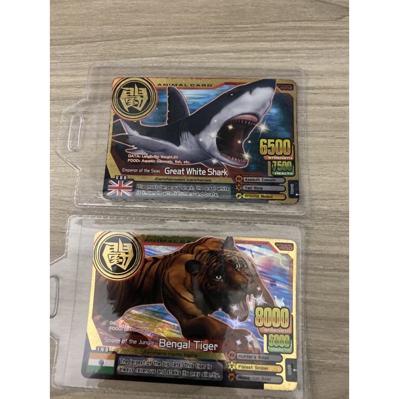 Animal Kaiser Bengal Tiger & Great White Shark Promo Card