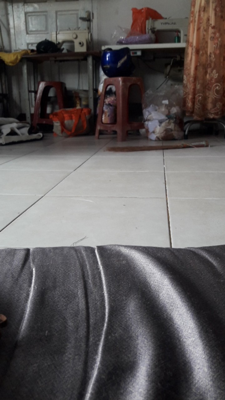 Obat Anti Semut Dan Kecoa Miejiqing