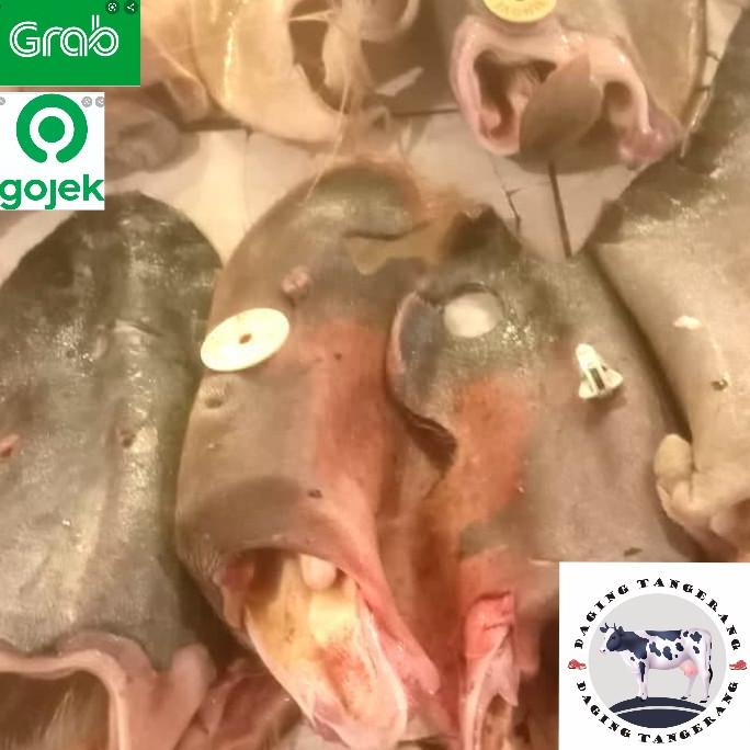 

[COD] telinga / kuping sapi [COD]