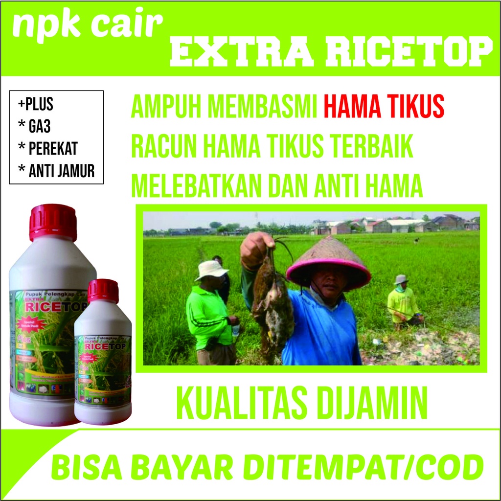 Obat Semprot Pelebat Padi - Pupuk Penyubur Padi - Racun Hama Tikus - Pupuk NPK Cair RICE TOP Merangs