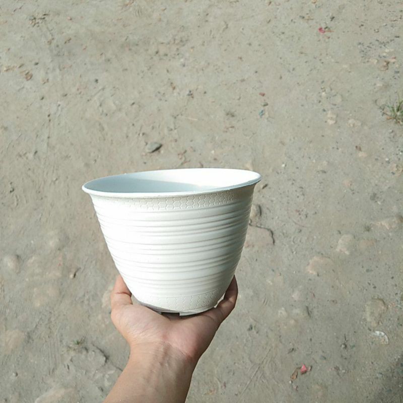 Pot bunga tawon putih / pot kecil / pot tanaman / pot putih / pot tawon putih
